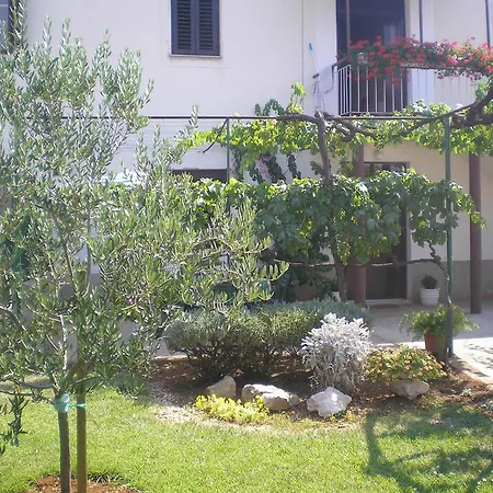 Apartment Tina Zadar Room photo