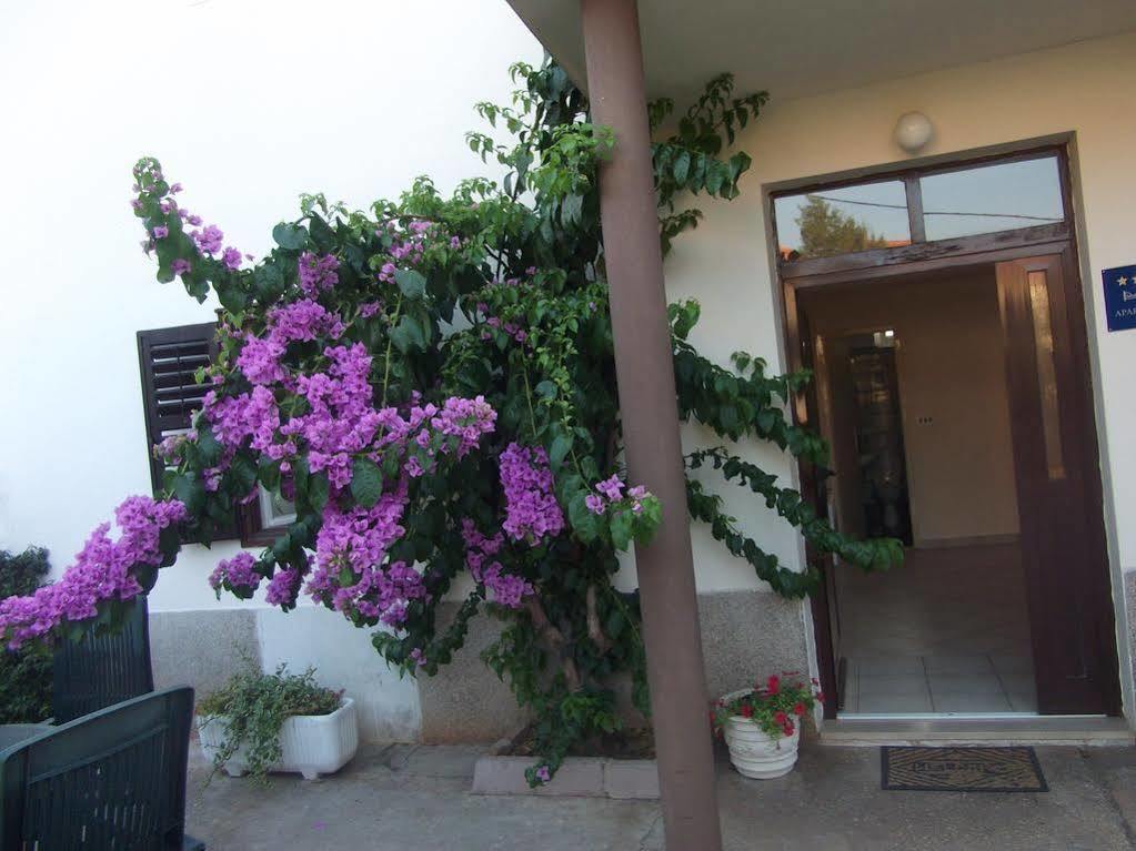 Tina Apartment Zadar